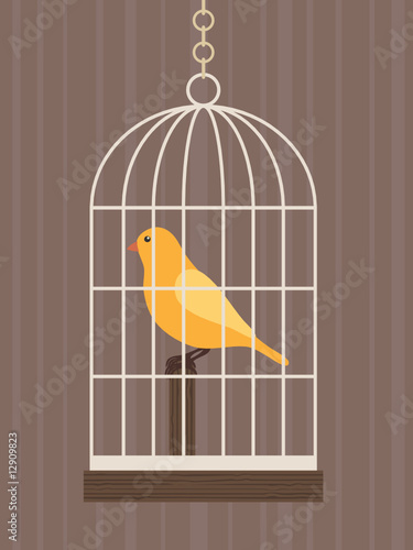 yellow bird in birdcage
