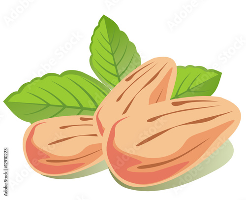 almond and mint