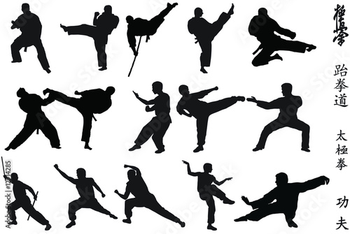 Canvas-taulu Karate fighters