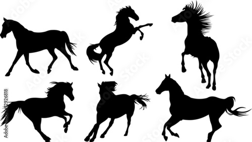Set of horse silhouette collection. Vector illustration