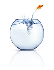 Jumping Goldfish