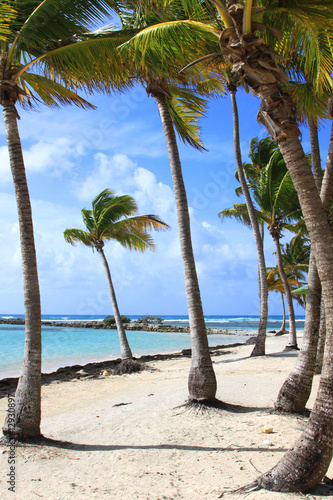 beautiful tropical beach