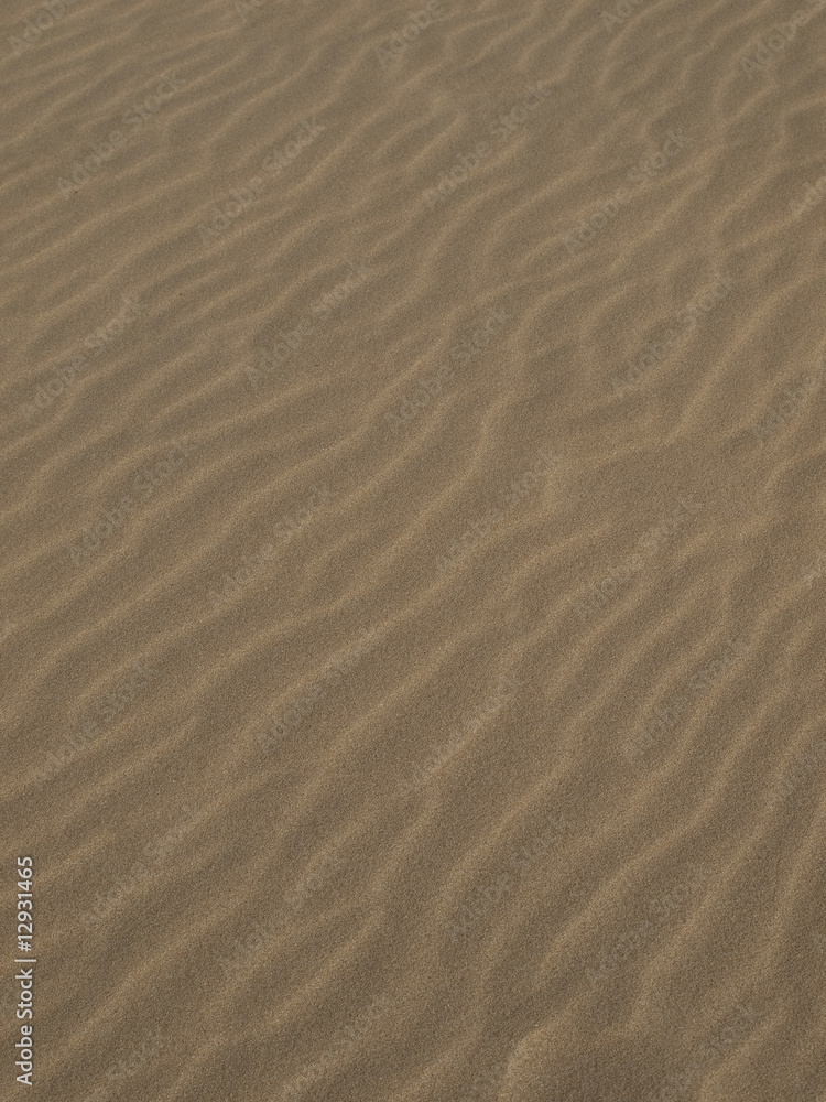Sand Texture Sand Texture
