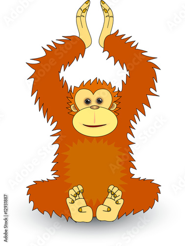 Orangutan