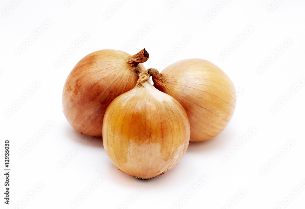 Fototapeta premium onion