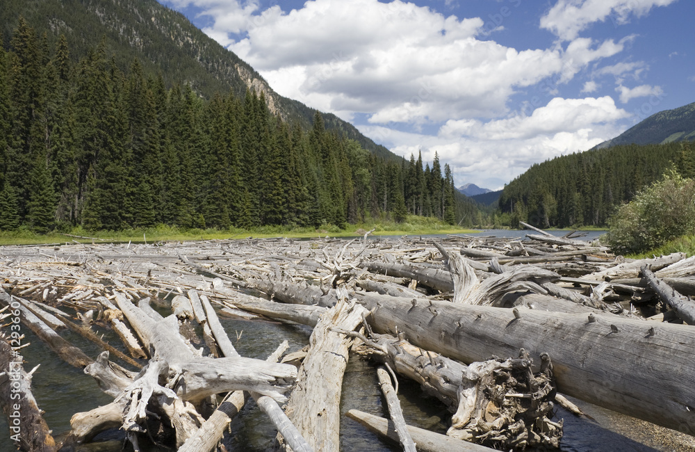 Duffey Lake and Cayoosh Creek with dead Trees Duffey Lake and Cayoosh Creek with dead Trees