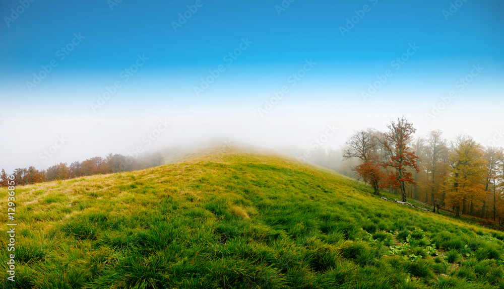 Obraz premium Landscape
