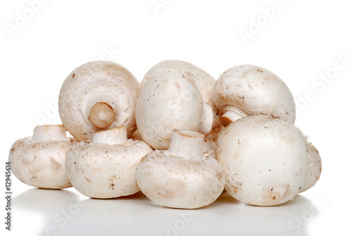 Isolated pile of white mushrooms