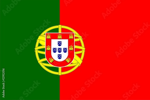 Portugal national flag. Illustration on white background