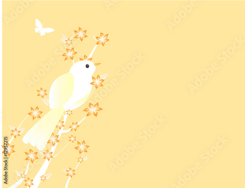 oiseau