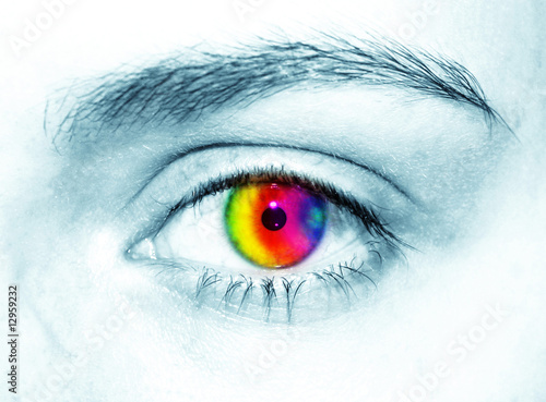 Auge