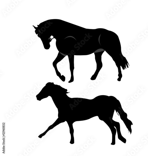 Horse silhouettes