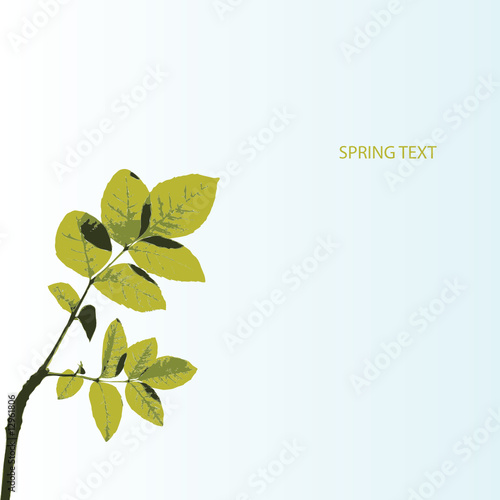 spring tree