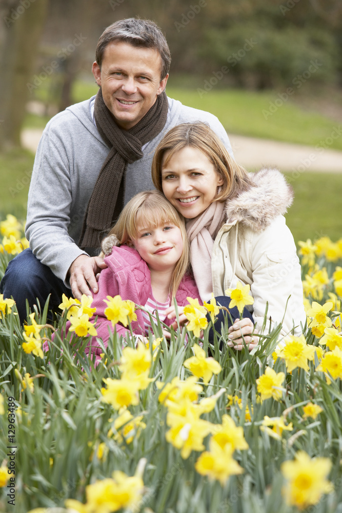 Family Group In Daffodils Family Group In Daffodils