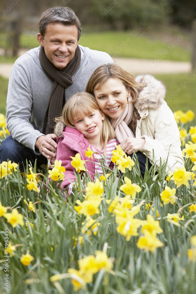 Fototapeta premium Family Group In Daffodils
