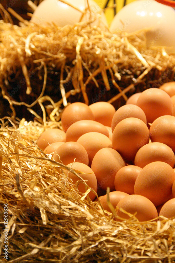 oeufs et paille oeufs et paille