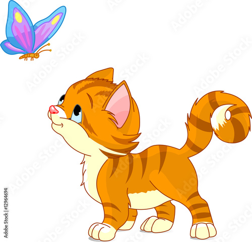 The nice kitten looking to butterfly. Vector