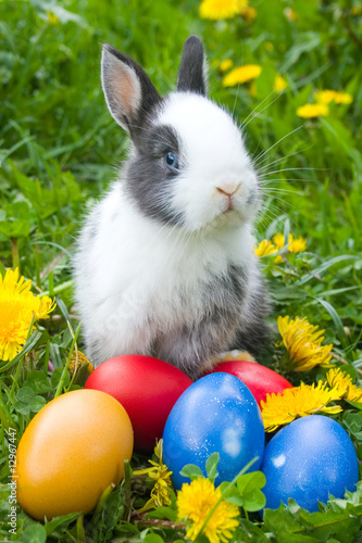 The small rabbit and colourful easter eggs in a grass © Elena Blokhina