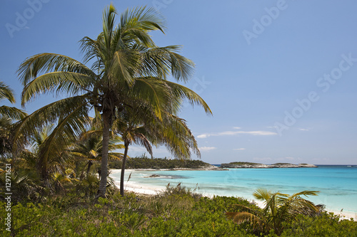 Palms and beach - Lighthouse Bay
