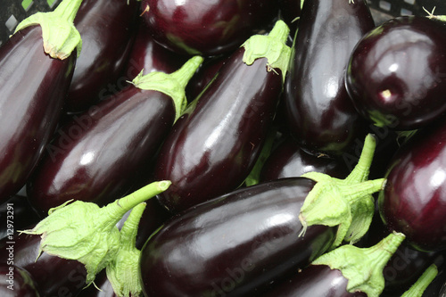 Eggplants photo