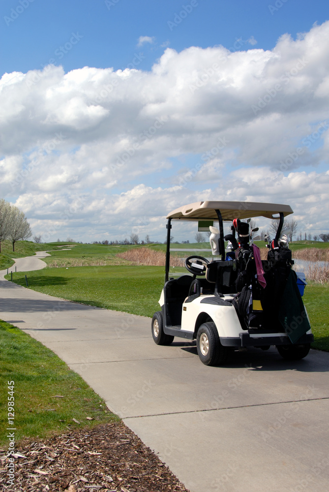 Golf Cart on Path