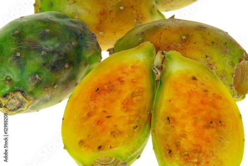 Kaktusfeige - prickly pear 21