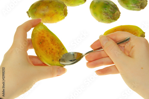 Kaktusfeige - prickly pear 25