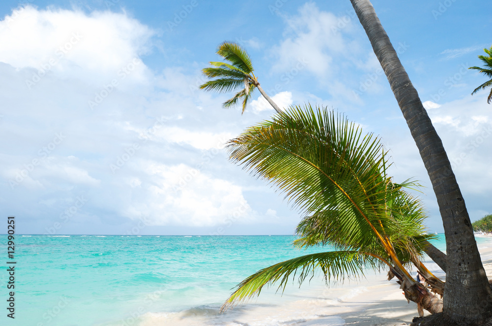 Fototapeta premium Caribbean beach