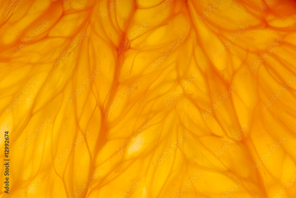 Fototapeta premium orange