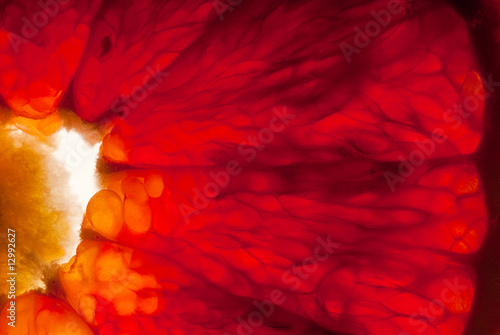 Blutorange