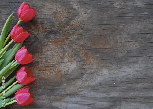pretty tulips on an old wood background