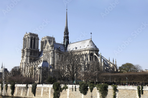 Cathédrale Notre Dame - Paris