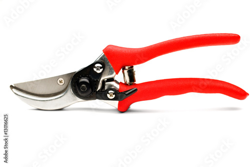 Close-Up Of Pruning Shears