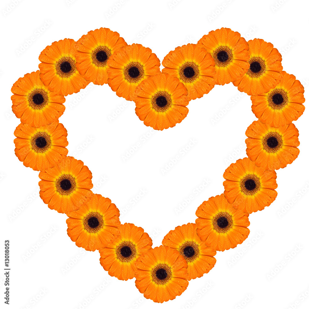 herz aus gerbera-blüten herz aus gerbera-blüten