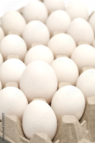 Group of hen's eggs in protective case: one big among small