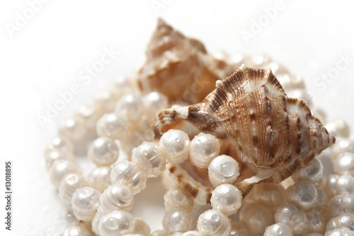 Beads from pearls and sea shell