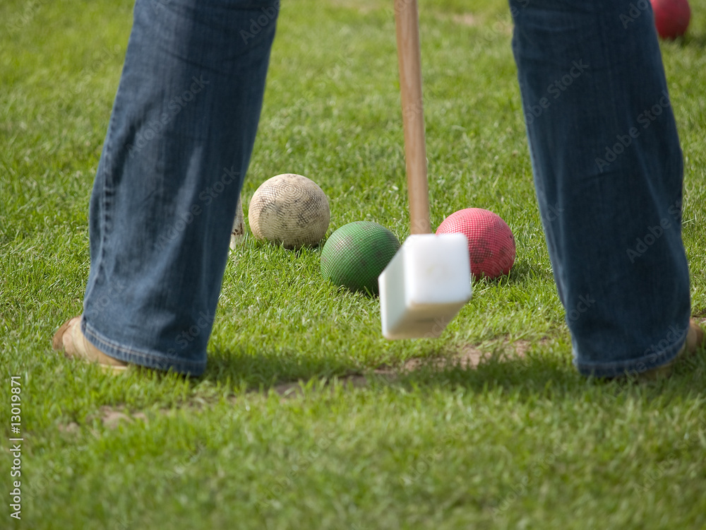 Crocket Stock Photo | Adobe Stock