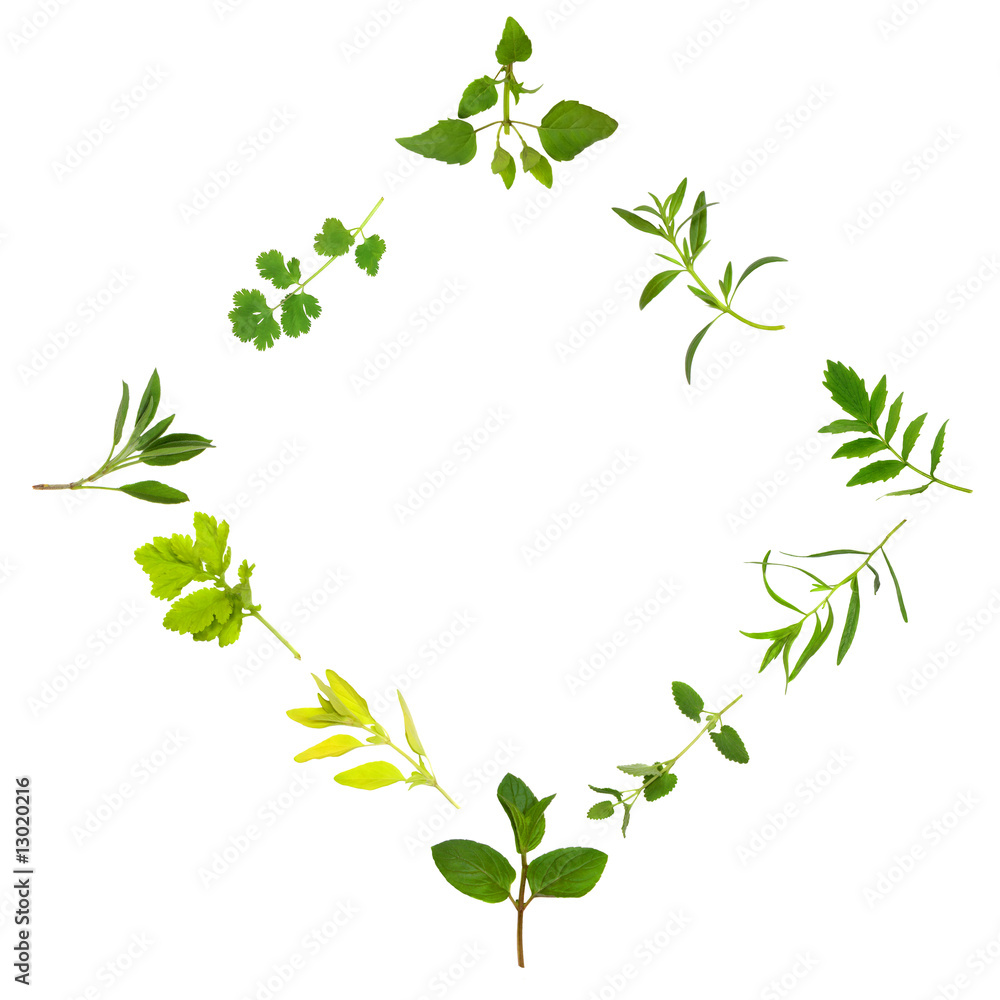 Herb Leaf Variety