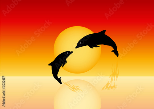 dolphins silhouette