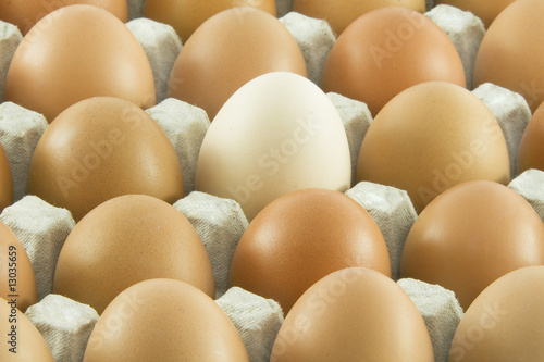 Many fresh rural eggs packed into cardboard container