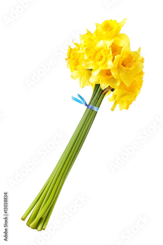 Fototapeta Naklejka Na Ścianę i Meble -  Bouquet of yellow daffodils