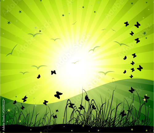Magic meadow, illustration for your design