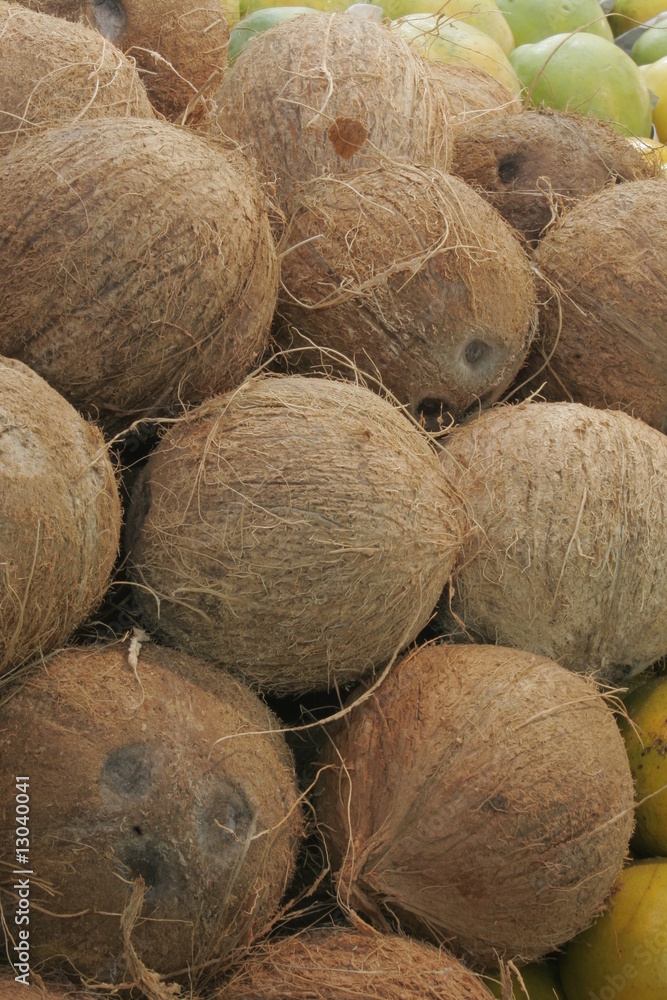 Coco_1V Coco_1V