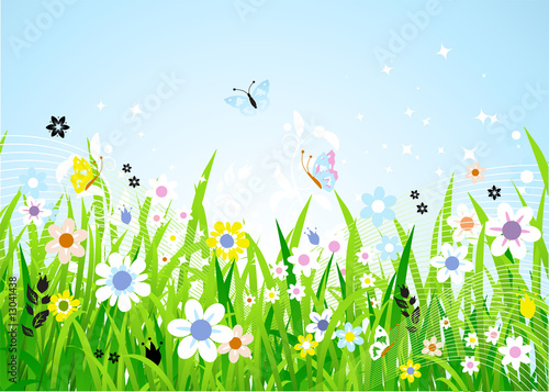 Spring meadow beautiful