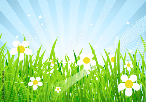 Spring meadow beautiful
