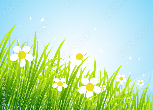 Spring meadow beautiful