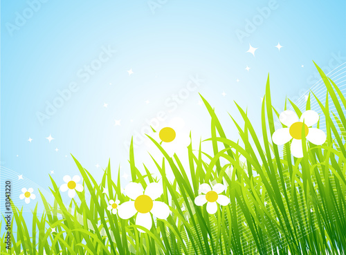 Spring meadow beautiful