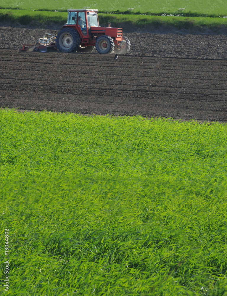 Fototapeta premium tracteur dans le champs