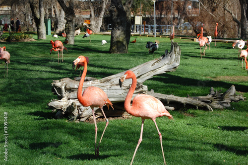 Flamingo Park