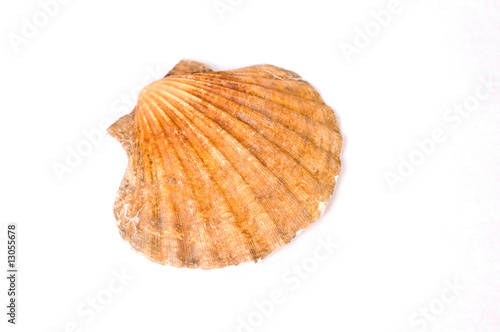 Isolated shell